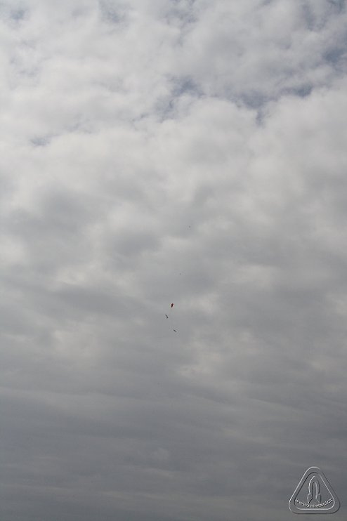 2013 Svojek Mirek Topinka